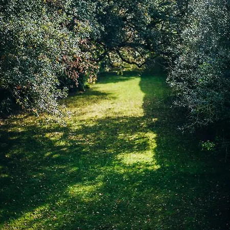 Quinta De Casevel - Terra Cheia Casa rural *