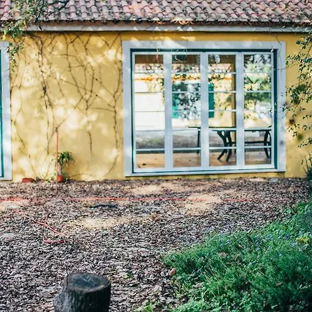 Quinta De Casevel - Terra Cheia Casa rural